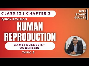 Oogenesis Explained | Human Reproduction Ch 2 | Class 12 Biology | Quick Revision