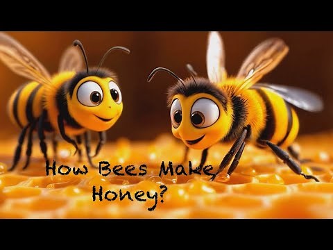 How Bees Make Honey | Animated Explainer🐝 🍯