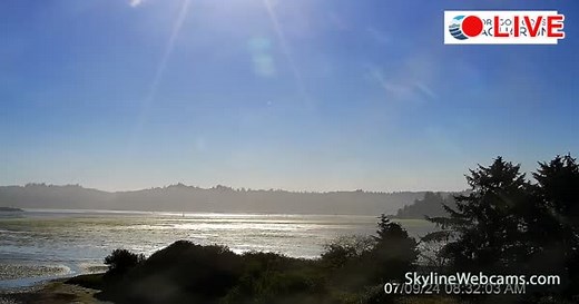 【LIVE】 Webcam Newport - Oregon Coast Aquarium | SkylineWebcams
