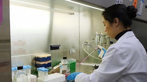 Use of a Linear Accelerator for Conducting In Vitro Radiobiology Experiments