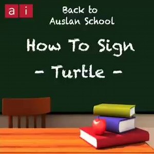 How to sign "Turtle" in Auslan. Weekly Auslan lesson. | Ai-Media