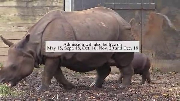 Buffalo Zoo partners with M&T Bank for free admission days starting Thursday