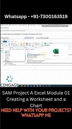 SAM Project A Excel Module 01 | Creating a Worksheet and a Chart