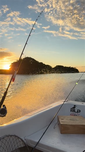This was the view on my way home from work today here in Argentina. #boating #fishing #travel #adventure #argentina @ituzaingo_fishing | Sport Fishing with Dan Hernandez