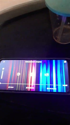 Opening Logos Wallace & Gromit (DVS) US