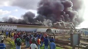 16K views · 184 reactions | TERRORISMO?????? Ou teoria da...