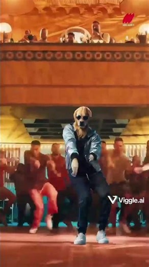 Two Breeds. One Epic Dance. #WarMovieDance #BollywoodDogs # DogDance #PowerMoves #TrainedDogs