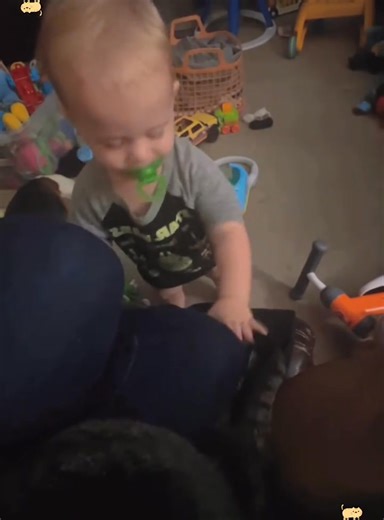 🐈🙈😂 | Ili Rodriguez