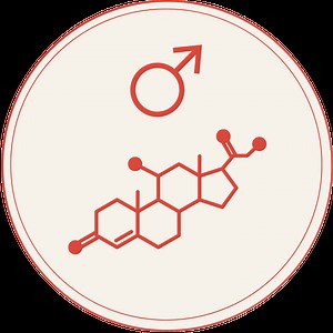 Natural Male Hormone Supplements to Help Balance Your Hormones