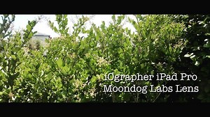 11 reactions · 3 comments | Testing out the @moondoglabs anamorphic lens with the iOgrapher for iPad Pro 9.7. Ready to make your movie?? #madewithiographer | iOgrapher | Facebook