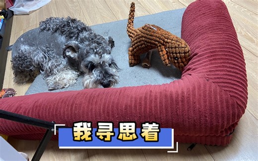 他可能以为自己当爹了