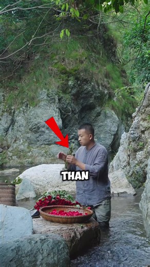 Fascinating Facts About Earth and Nature