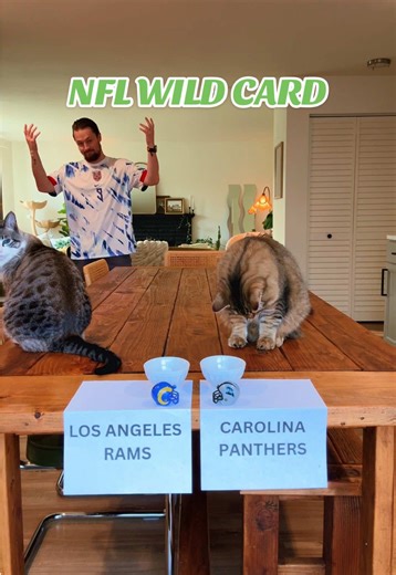 NFL Wild Card Predictions: Tom's Expert Insights