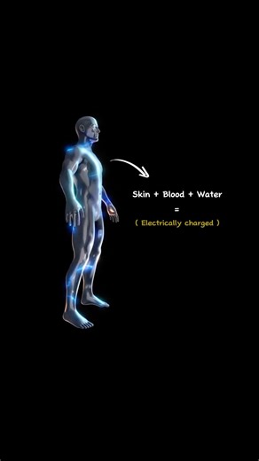 How Screen Touch works 💯#howthingswork #smartphone #tech #technology #viralshorts #shorts #curious