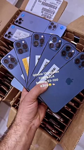 iPhone 12 Pro Max Camera Features and Setup