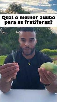 What is the best fertilizer for fruit trees?