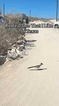 Cool Restaurants in Texas
