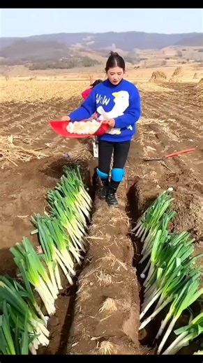 Amazing tools for agriculture rural farmer used this tools#shorts #youtubeshorts #tools