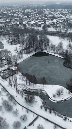 DJI Neo 2 4K: Snowy Limburg Lake Half Frozen (Ducks on Ice) #netherlands #snow #drone #limburg