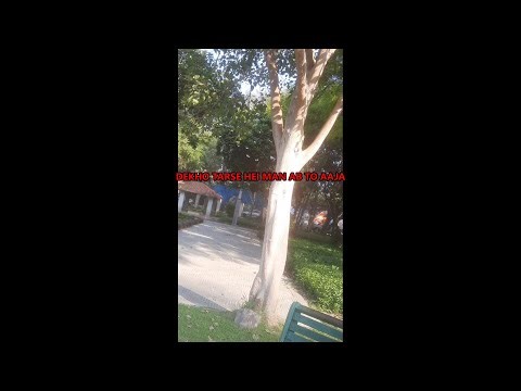 flute cover of Aa laut ke aaja mere meet