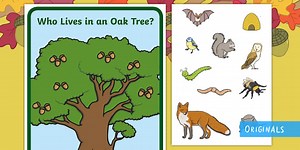 Who Lives in an Oak Tree? Display Poster and Animal Cut-Outs