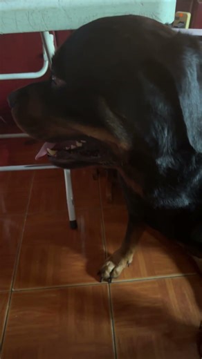 #youtube #pavitaradaughterofindran #love #tara #onlyonepiece