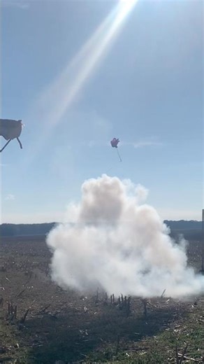 DIY Paper Model Rocket shredded by D motor keto