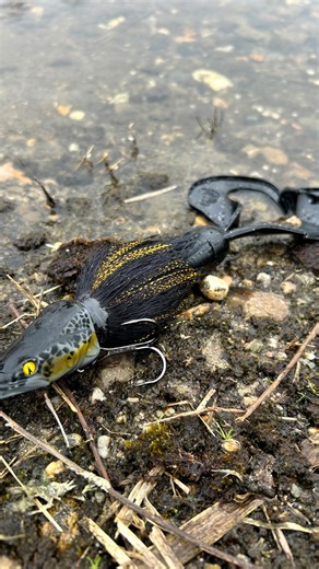 Charlie’s Fishing on Instagram: "Rat Face 🐀 That’s the name of this Sharpshoot’r combination at www.charliesfishing.com! 🙌 This is a combination between the VMC Sharpshooter and the CWC Double Tail. The VMC Sharpshooter combo is the newest addition to the popular Mustache series, designed specifically for anglers targeting big pike. Its hydrodynamic body shape gives the lure a stable, natural swimming action with minimal water disturbance. The VMC Sharpshooter east to fish, even in current or
