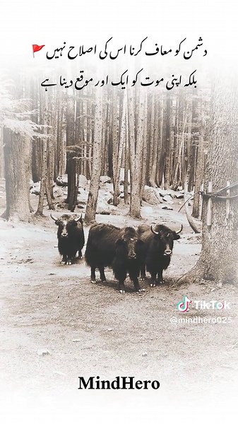 Daily Motivational Poetry & Life Lessons