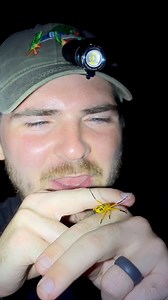 46K views · 800 reactions | Real or candy? No, your eyes don’t...