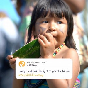 The first 1,000 days—from conception to age 2—are critical for a...