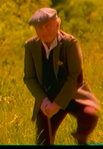 HALT! YOU’RE A LEPRECHAUN! 🍀 🌈👴🏻 Wait what was he talking about?!!! Just an average St Patrick’s Day Tuesday at VHS Oddities…What is wrong with this guy?! Is he even a leprechaun?! I don’t know about you guys but tonight feels like a Feature Films for Families kind of night. This movie is very strange and has the expected vague Christian undertones, but also stilted acting and absurd plot points . Would you want us to cover this movie on our Youtube channel? Behind the Waterfall (1995) #vhs 