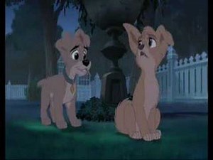 Scamp & Angel: Lips of an angel