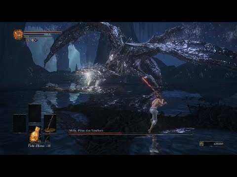 DS3 ng+3 espadon only SL1 Midir !