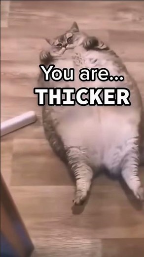 Thicker than a snicker! 🤭 #cat #funnyshorts #funny #dothingsyoudontwanttodo #snickers