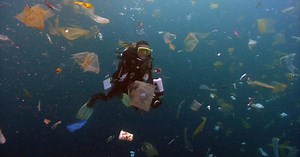 Cleaning up the plastic in the ocean