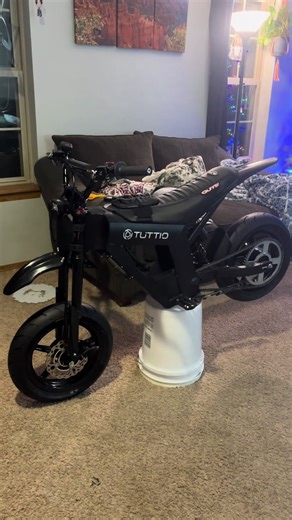 Sumo Wrestling and Tire Cleaning: A Unique Experience