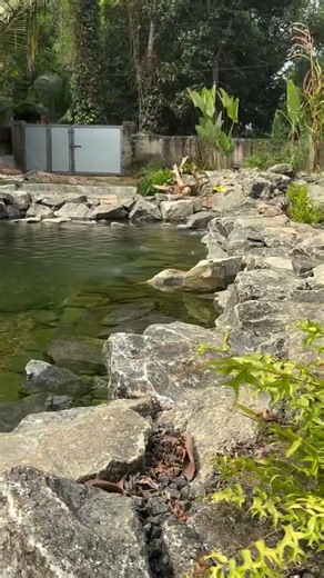 Bio pond Work at Panthalam , Kollam | Natural swimming pond | bio pond | bio swimming pool