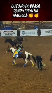 🇧🇷🤠 Os peões de Cutiano do Brasil estão dando show nos Estados Unidos! 🇺🇸🔥 Lá fora, onde muitos duvidam, nossos peões mostram raça, técnica e coragem de sobra. 🐎💥 O Cutiano, montaria 100% brasileira, está conquistando olhares e corações, provando que o talento do nosso rodeio não tem fronteiras! 🌎✨ Entre aplausos e poeira, o Brasil mostra sua força no berço dos cowboys, levando consigo a garra, a fé e a tradição sertaneja. Onde tem peão brasileiro, tem espetáculo garantido! 👏💪 #Cutian