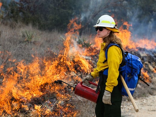 Prescribed Fire - Texas A&M Forest Service