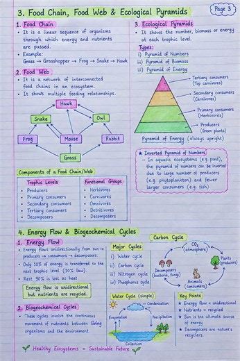 🌿 Environment, Ecosystem & Biodiversity — Complete Handwritten Notes 🌎