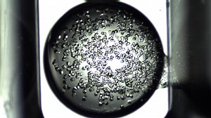 In microgravity, protein molecules form more orderly, high-quality crystals, giving scientists a clearer picture into understanding their function so they can develop more effective treatments for diseases. Read more: https://go.nasa.gov/2NHBm4I | International Space Station