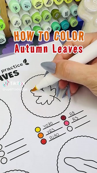 🍁🍄 How to color autumn leaves! 🍂🍄‍🟫 Save it for your next fall themed coloring page 🍁 Here's how I did it: 1️⃣ Start by creating a gradiant from yellow to red, using Y010, YR3 & R180 (or your favorite markers). 2️⃣ Draw the leaf veins with a burgundy or dark red colored pencil. 3️⃣ Next, apply another layer or orange and red to create more variations on the leaf. 4️⃣ Add some darker red lines at the base of the leaf (R8) & add another layer of colored pencils to darken the leaf veins. Wann