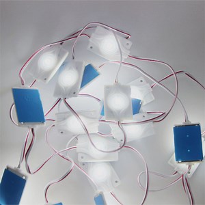 [Hot Item] 2W LED Module 12V DC LED Strips Light for Lightbox Signages