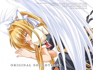 roblox音乐ID 鸟の詩