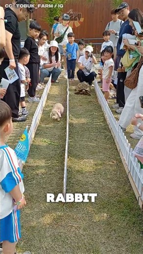 Speed Isn’t Everything