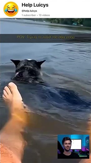 Man Tries to Avoid Dog Poop on Sidewalk!