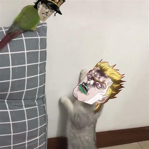 DIO VS Jotaro