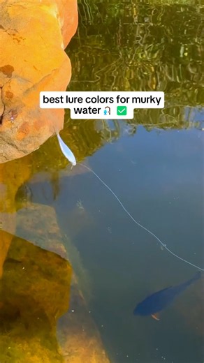 I stopped guessing the best lure colors for summer the day I read this guide by a pro angler. summer bass fishing isn’t luck — it’s understanding water clarity, light conditions, and how bass react in warm water. Want to catch more bass this summer? 👉 The full bass fishing lure guide is in the link in bio. #usa #fishing