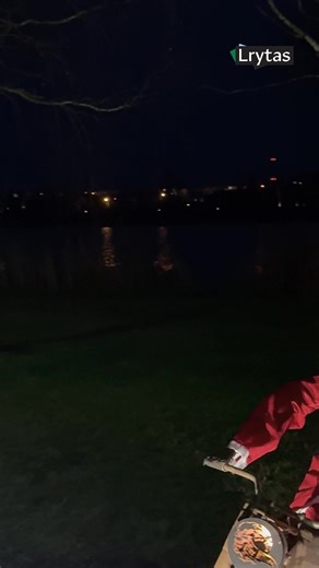 14K views · 281 reactions | Utenoje sužibo Mažojo princo įkvėpta eglė: greta jos – dar dešimtys unikalių žaliaskarių. | Lrytas.tv | Facebook